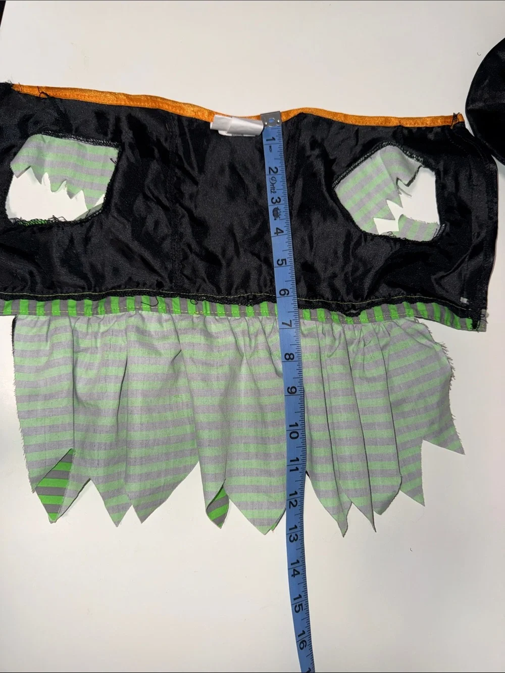 Black & Green Striped Witch Dress and Hat Costume for Dogs
